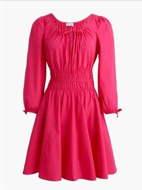 NWT J. Crew Babydoll Smocked Waist Mini Dress Pink Cotton SZ 12 $128